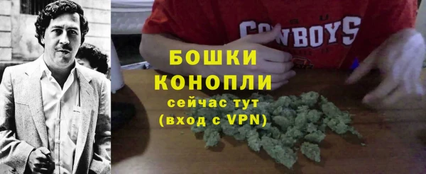 МДПВ Богородицк