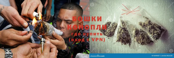 МДПВ Богородицк