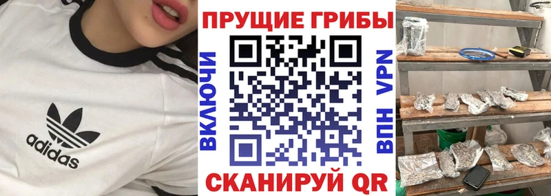 где можно купить   Нижневартовск  гидра как зайти  Псилоцибиновые грибы ЛСД 